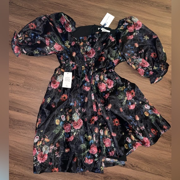 NWT JessaKae Polly Dress (2X) - Picture 12 of 12